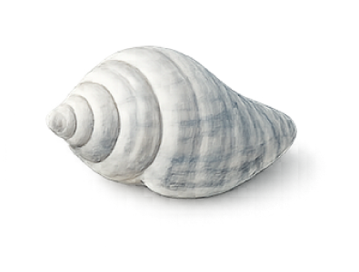 clam-2