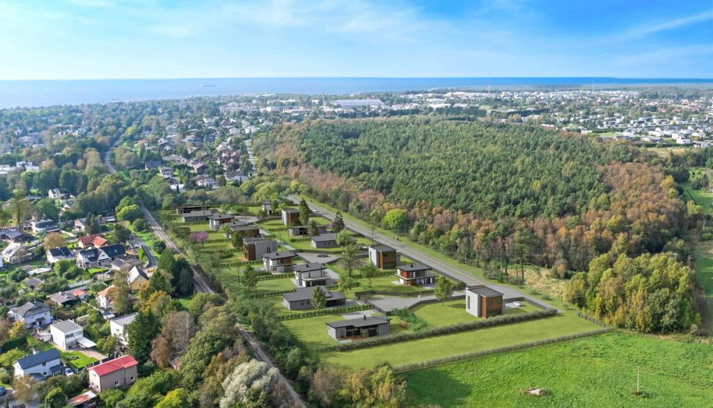 Pildi kirjeldus