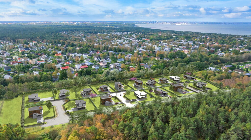 Pildi kirjeldus